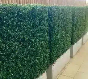 Premium artificial buxus hedges in stone planters
