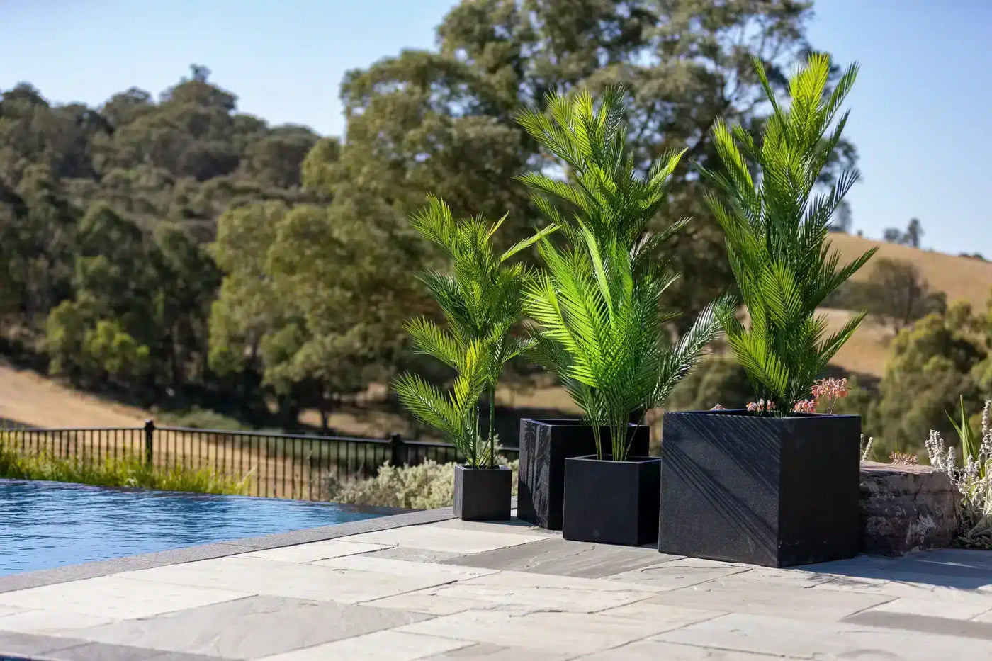 Real Touch Artificial Phoenix Palm Tree UV Resistant 180cm
