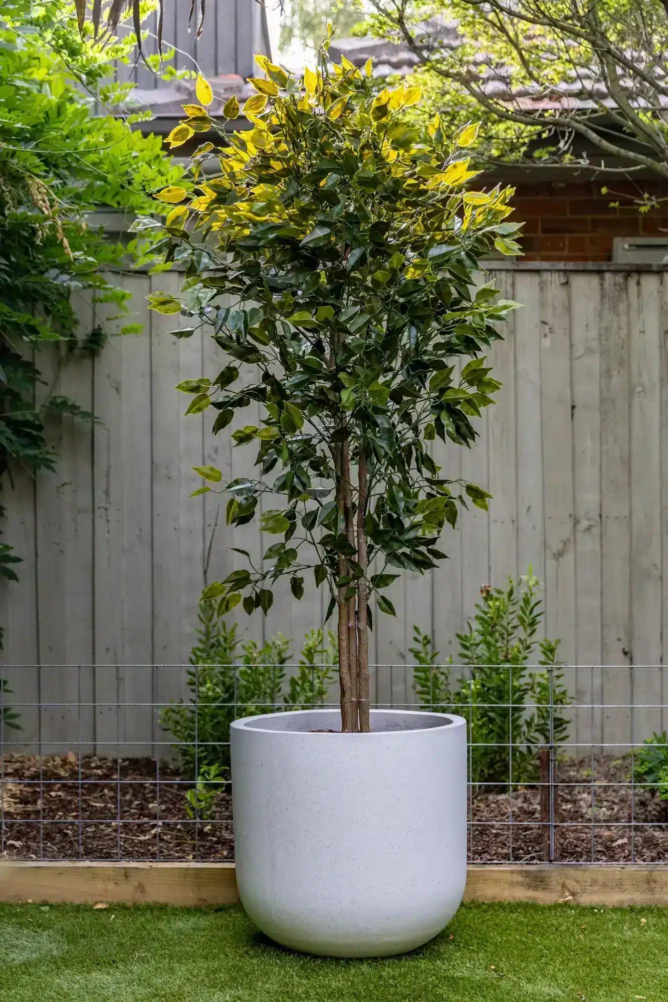 Artificial Ficus Tree 180cm Nearly Natural UV Resistant