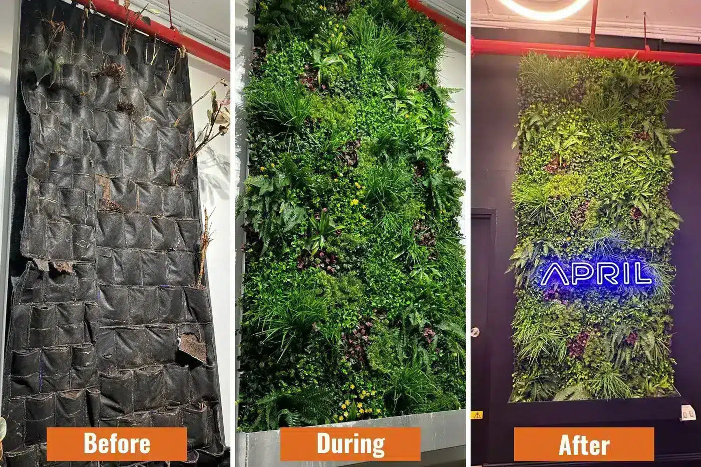 Luxury Country Fern Recycled Vertical Garden / Green Wall UV Resistant 100cm x 100cm