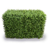 Deluxe Portable Buxus Hedge UV Resistant 100cm Long x 50cm High - Designer Plants
