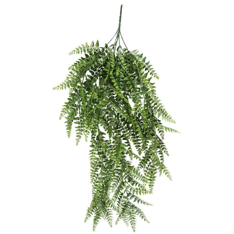 UV Resistant Dense Hanging Fern 90cm - Designer Plants