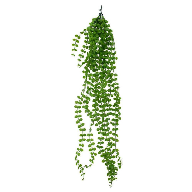 Hanging Pearls UV Resistant 90cm - Designer Plants