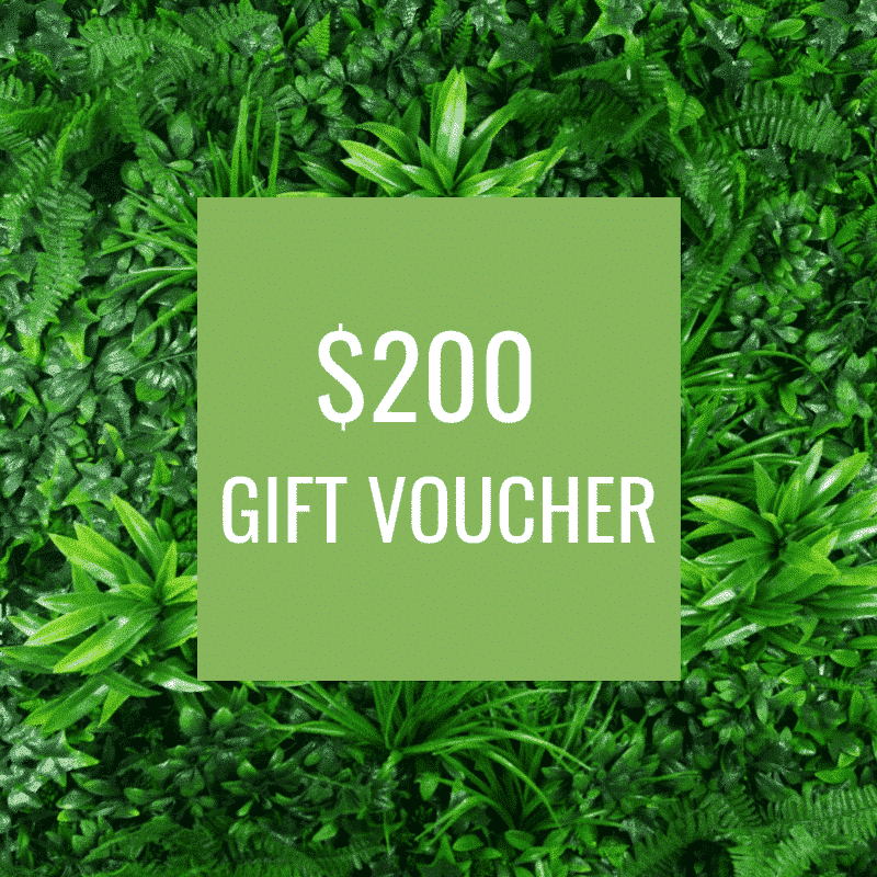 $200 Gift Voucher for artificial greenery and green walls - Designer Plants