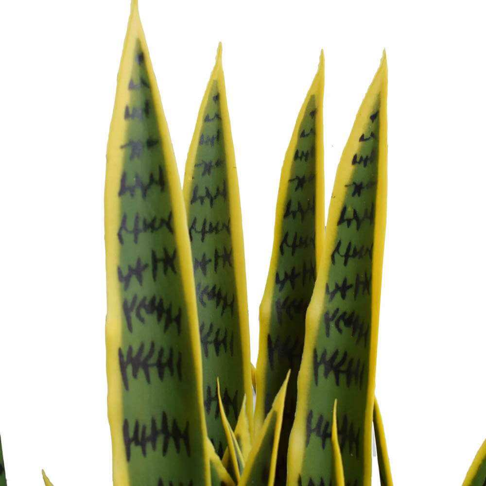 Artificial Mother in Law Tongue / Yellow Tongue Snake Plant UV Resistant 100cm