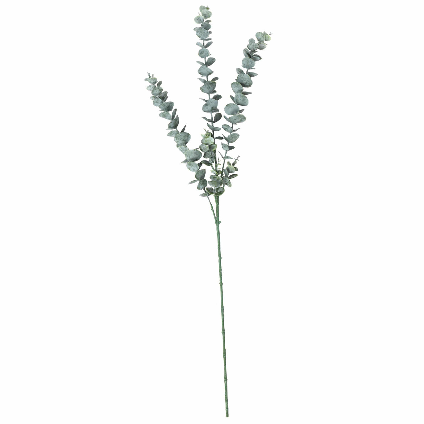Long Artificial Eucalyptus Stem 77cm - Designer Plants