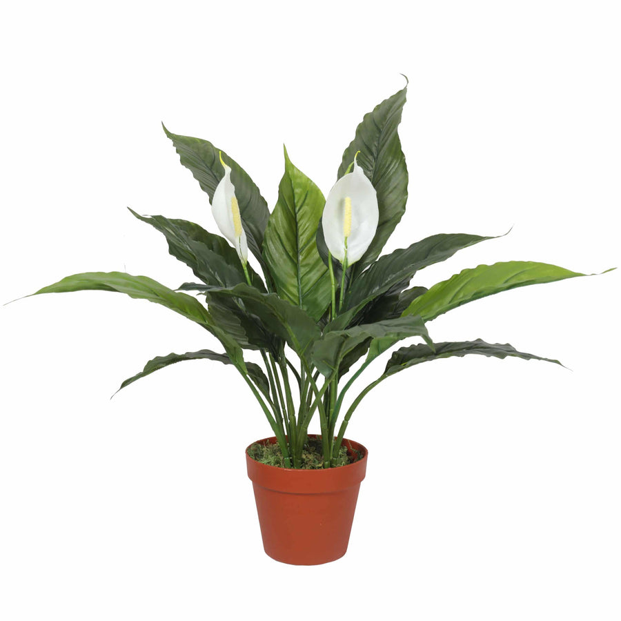 Artificial Spathiphyllum Peace Lily Plant with White Flowers 60cm - Designer Plants