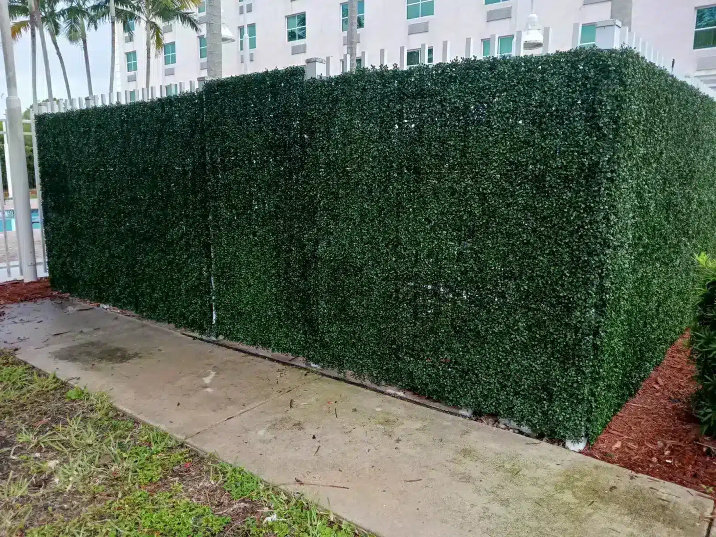 Boxwood Hedge Screen Green Wall Panel UV Resistant 100cm x 100cm