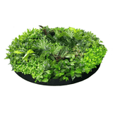 Artificial Green Wall Disc Art 150cm Dense Green Sensation (Onyx Black)