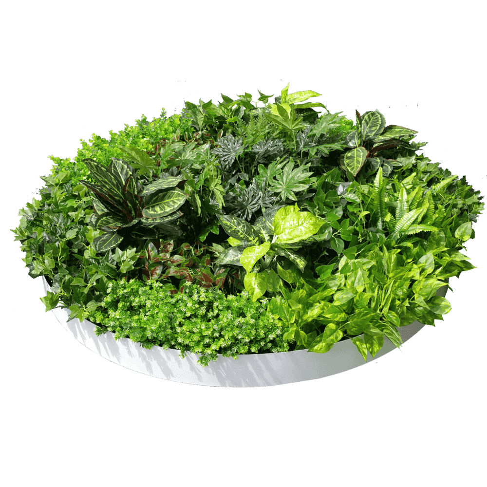 Artificial Green Wall Disc Art 150cm Dense Green Sensation (Fresh White)