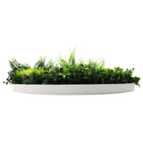 Slimline Artificial Green Wall Disc Art 80cm Colour Fresh UV Resistant (White)