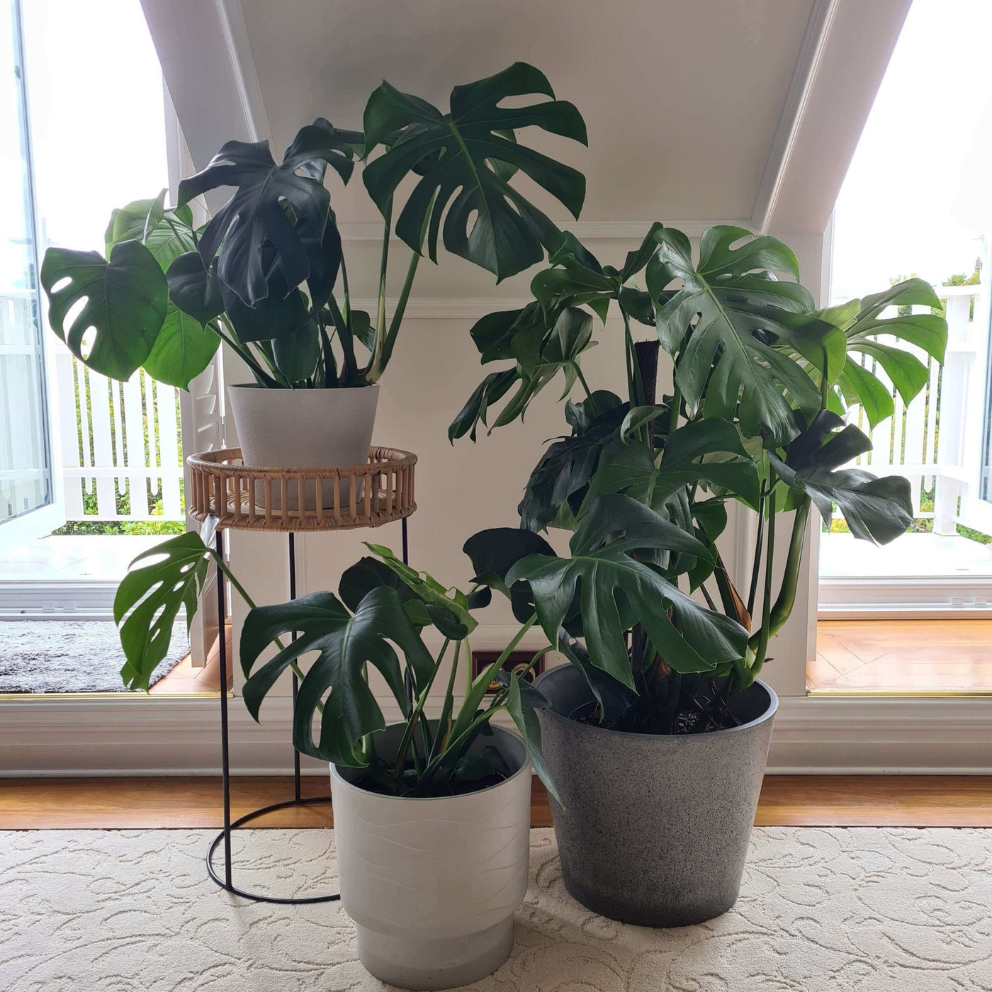 Rendered White Planter Pot 25cm