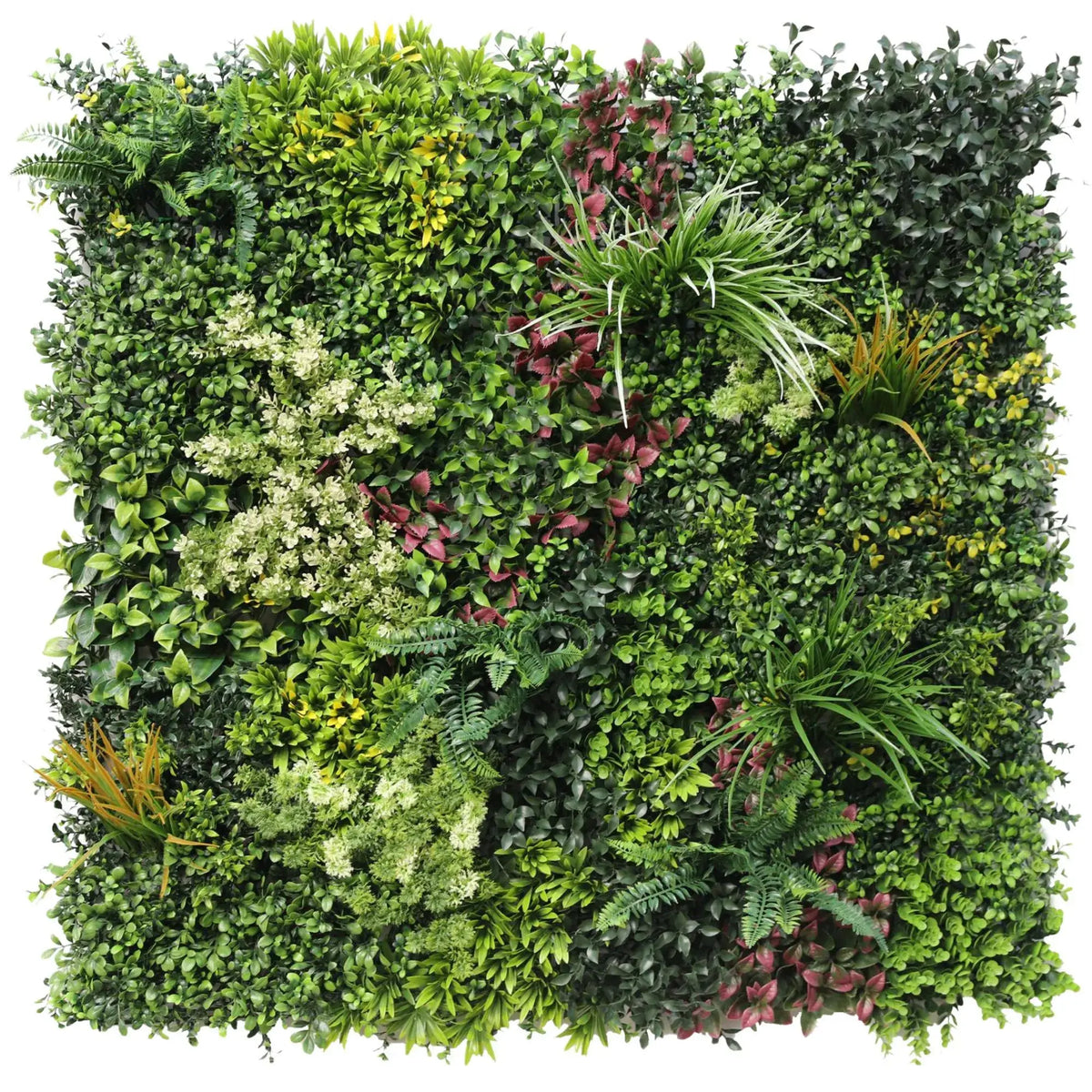 Luxury Evergreen Rainforest Recycled Vertical Garden / Green Wall UV Resistant 1m x 1m - Designer Plants