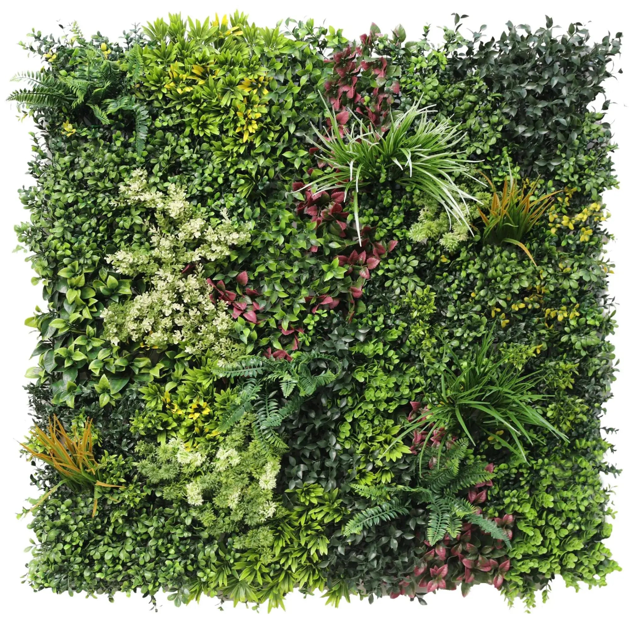 Luxury Evergreen Rainforest Recycled Vertical Garden / Green Wall UV Resistant 1m x 1m - Designer Plants