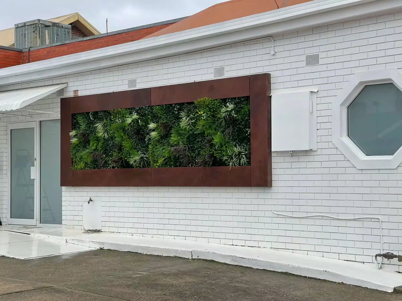 Luxury Evergreen Rainforest Recycled Vertical Garden / Green Wall UV Resistant 1m x 1m
