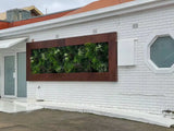 Luxury Evergreen Rainforest Recycled Vertical Garden / Green Wall UV Resistant 1m x 1m