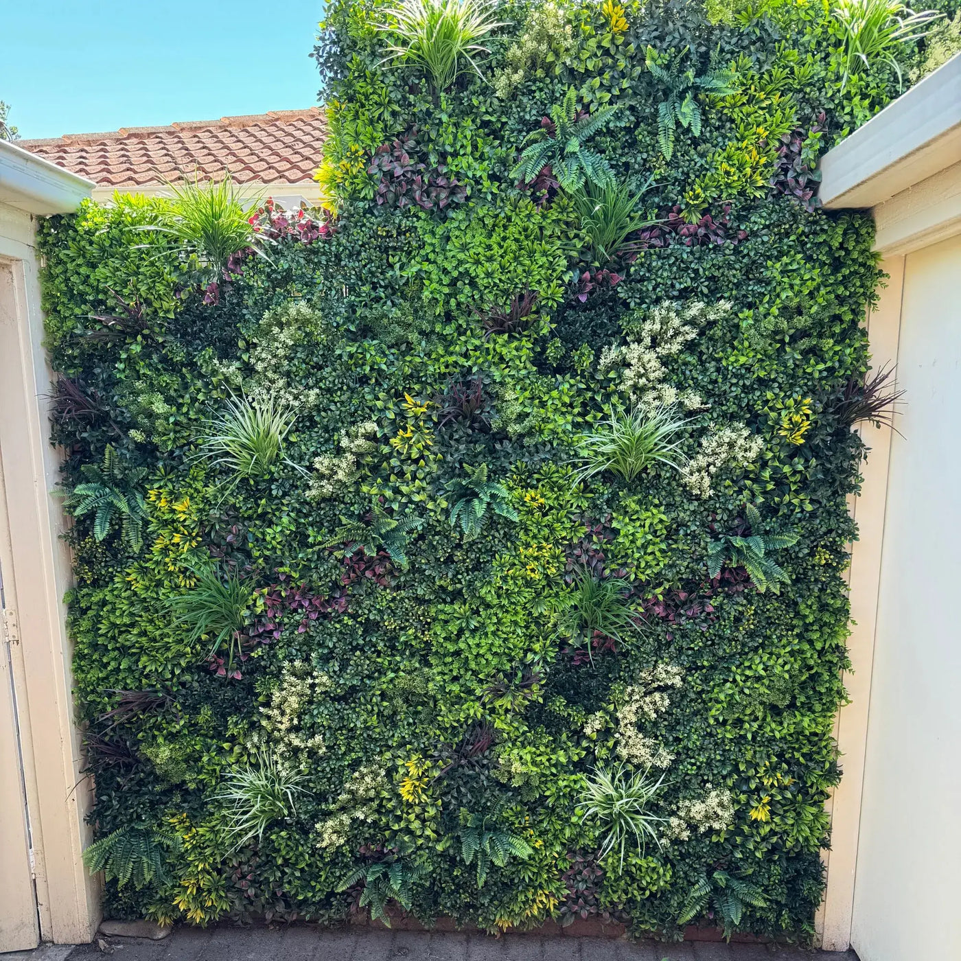 Luxury Evergreen Rainforest Recycled Vertical Garden / Green Wall UV Resistant 1m x 1m