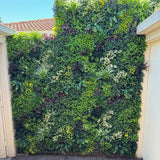 Luxury Evergreen Rainforest Recycled Vertical Garden / Green Wall UV Resistant 1m x 1m
