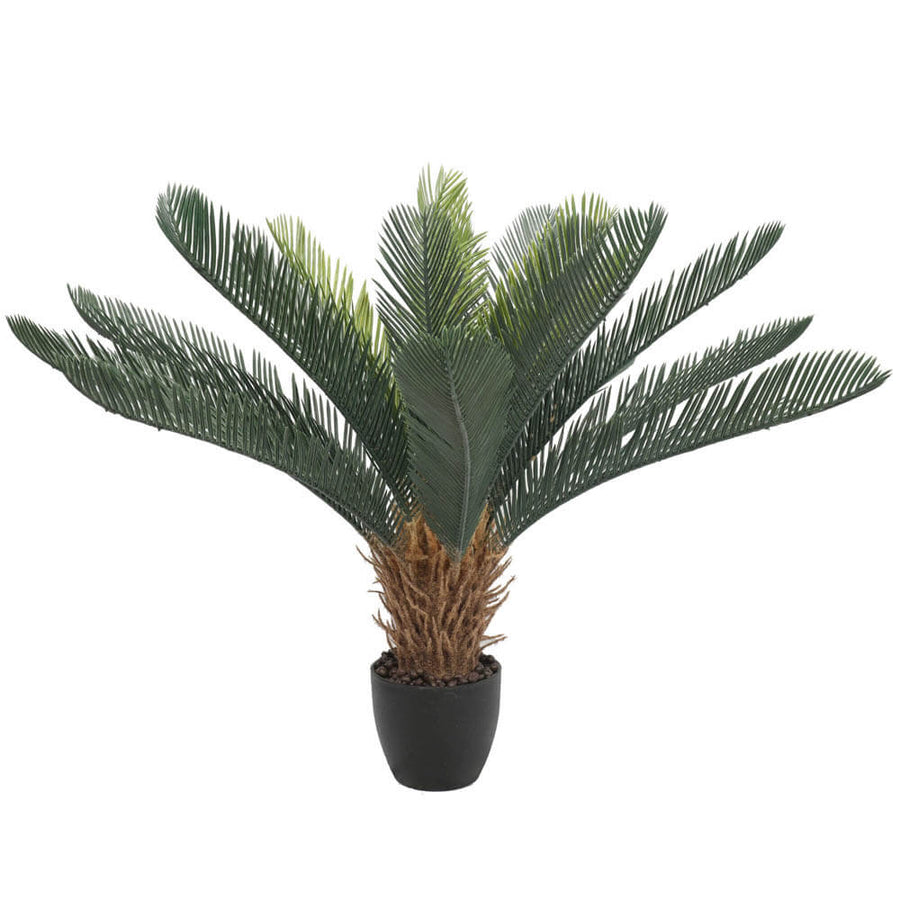 Artificial Cyca (Cycad) Plant 60cm - Designer Plants
