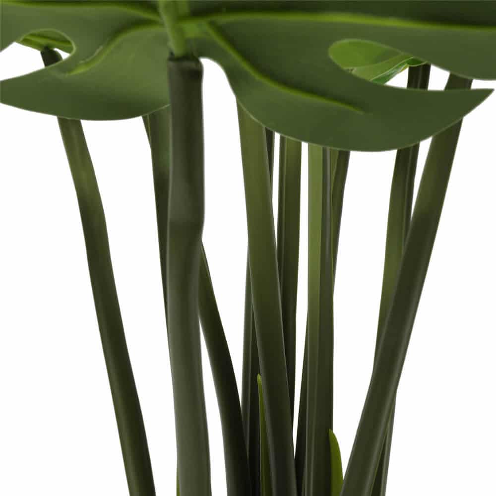 Split Philodendron Monstera Deliciosa (Split Leaf) 120cm