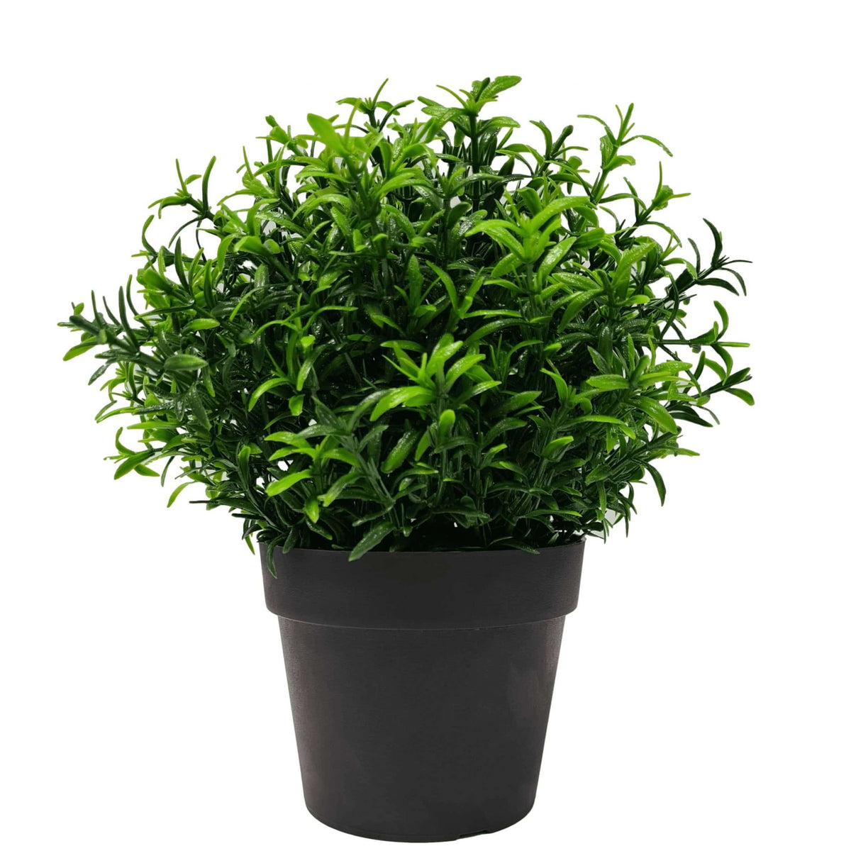 Small Potted Artificial Bright Rosemary Herb Plant UV Resistant 20cm - Designer Plants
