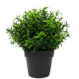 Small Potted Artificial Bright Rosemary Herb Plant UV Resistant 20cm - Designer Plants