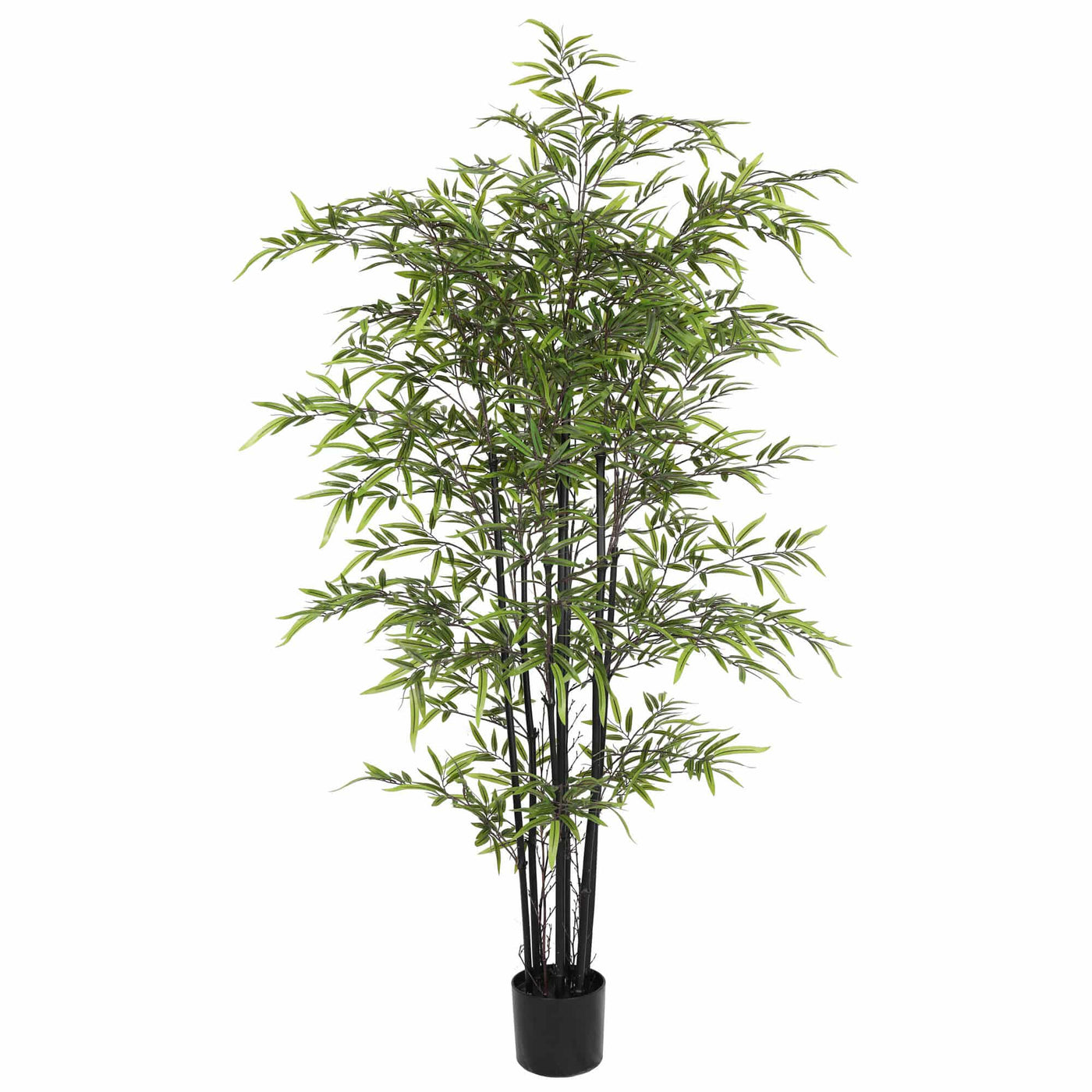 Premium Dense Artificial Black Bamboo 150cm
