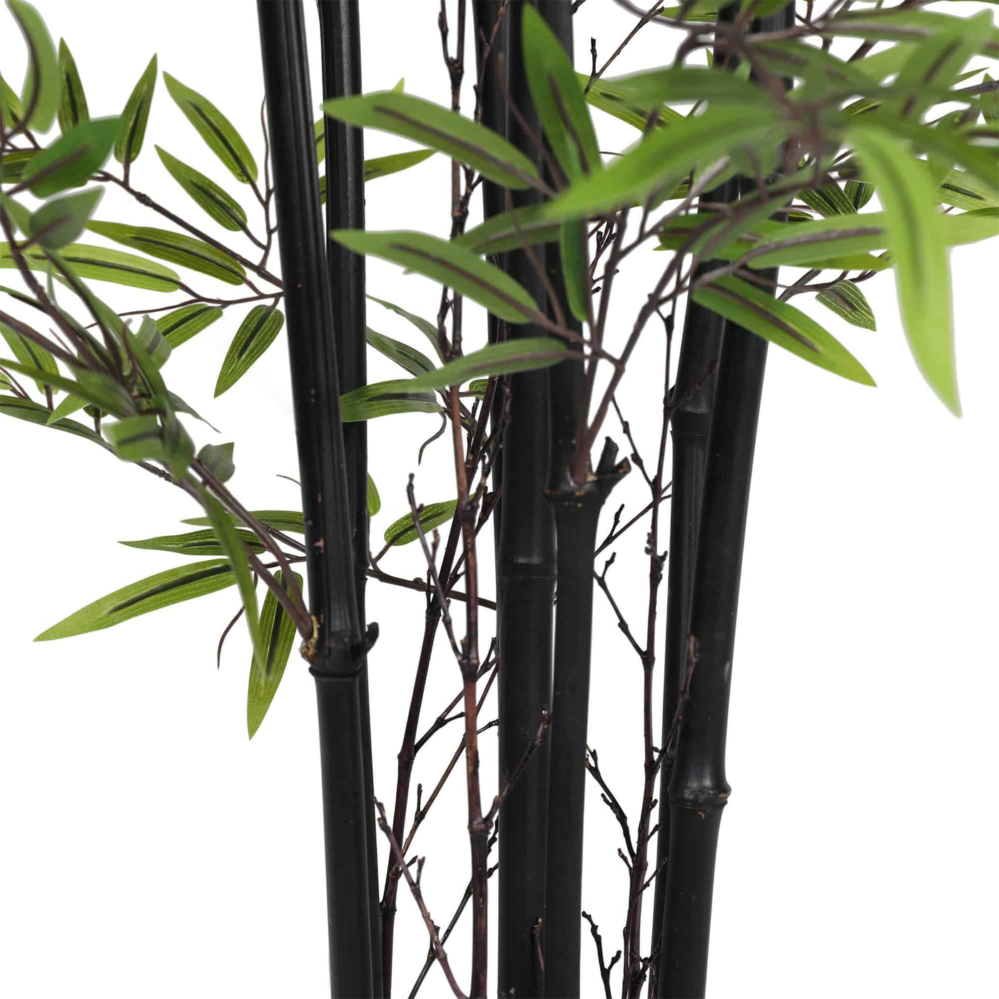 Premium Dense Artificial Black Bamboo 150cm