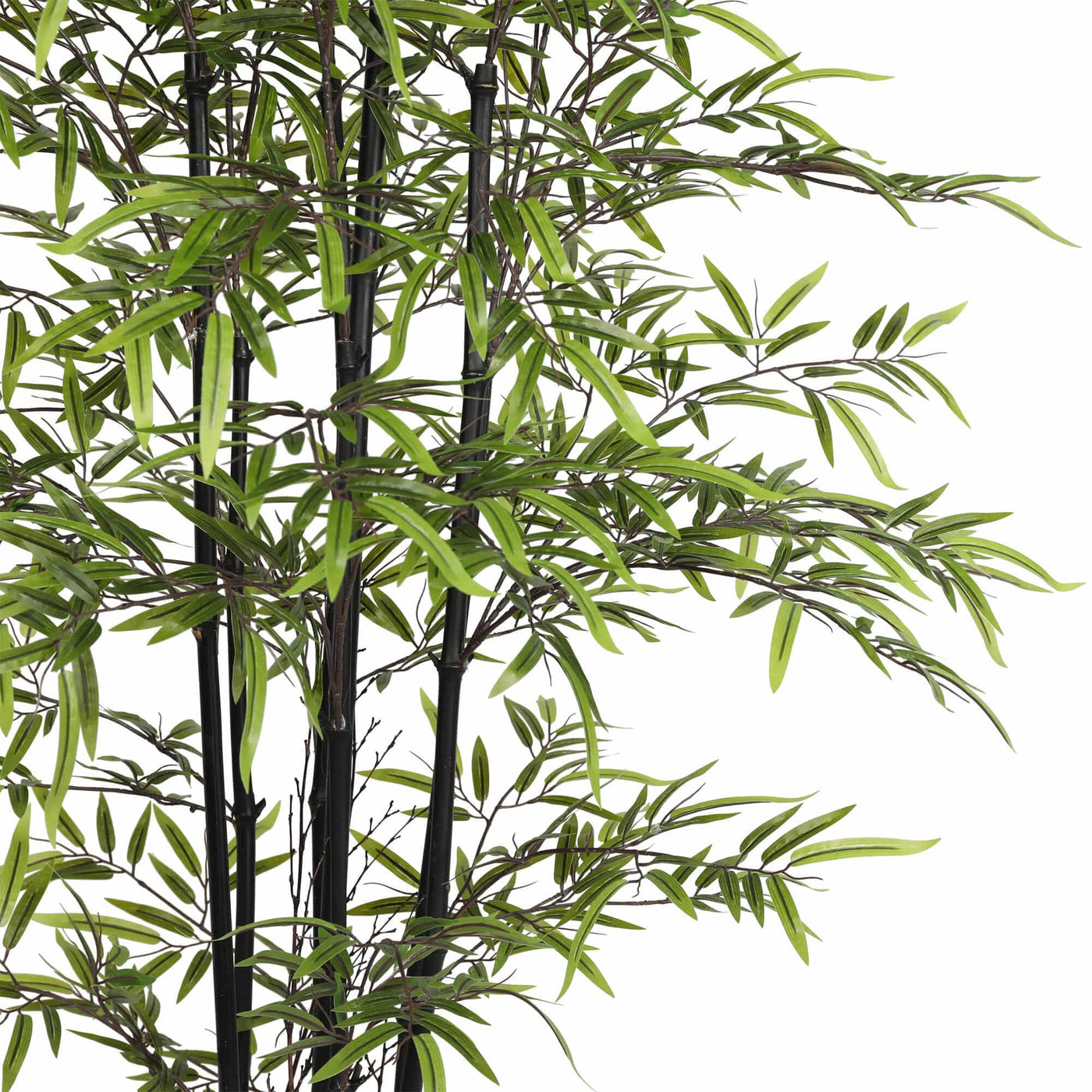 Premium Dense Artificial Black Bamboo 150cm