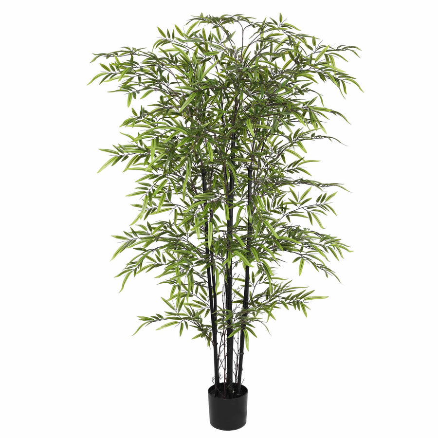 Premium Dense Artificial Black Bamboo 150cm - Designer Plants