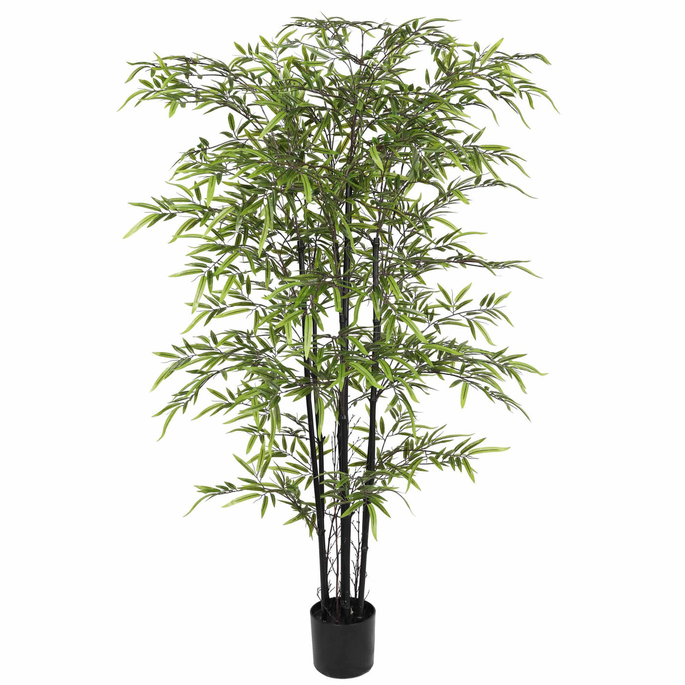 Premium Dense Artificial Black Bamboo 150cm