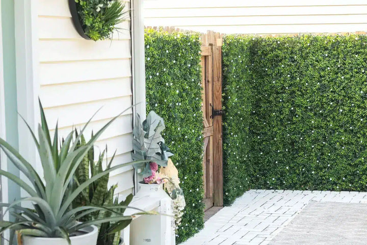 Outdoor patio area with plants and a wooden door leading to a garden.