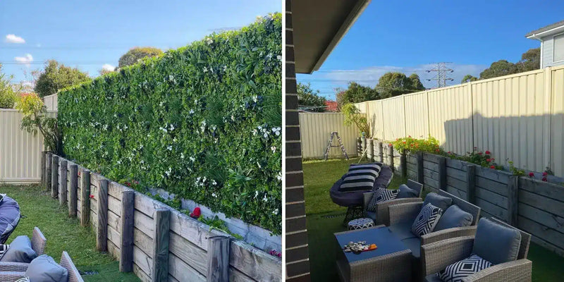 Before & After Flowering Vertical Garden Panels Sydney