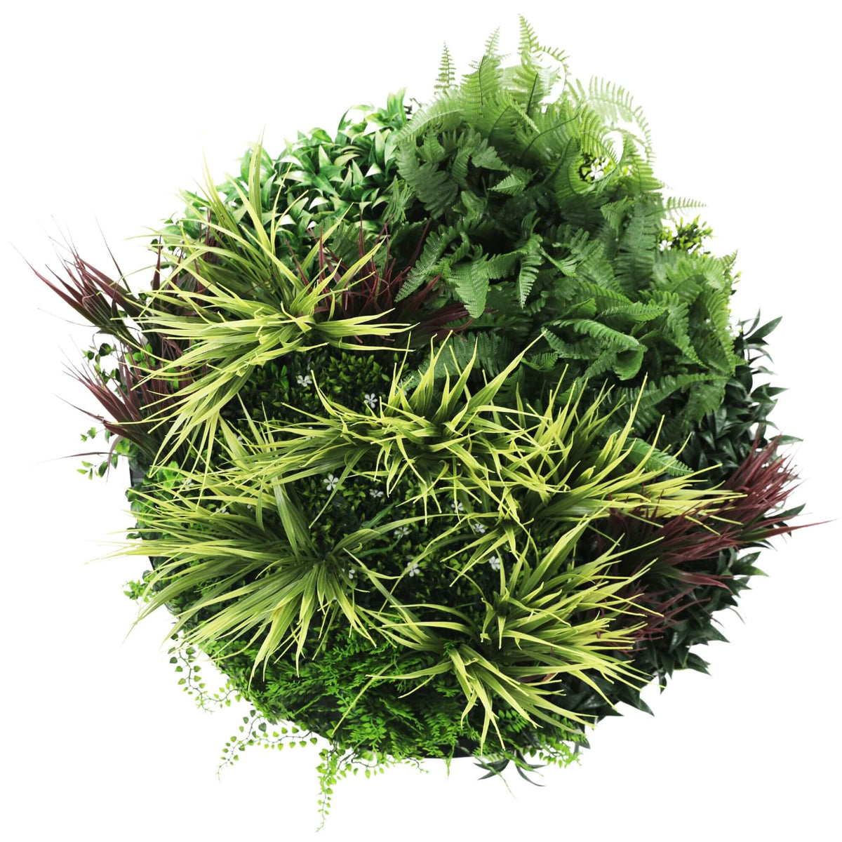 Slimline Artificial Green Wall Disc Art 80cm Grassy Fern UV Resistant (White) - Designer Plants