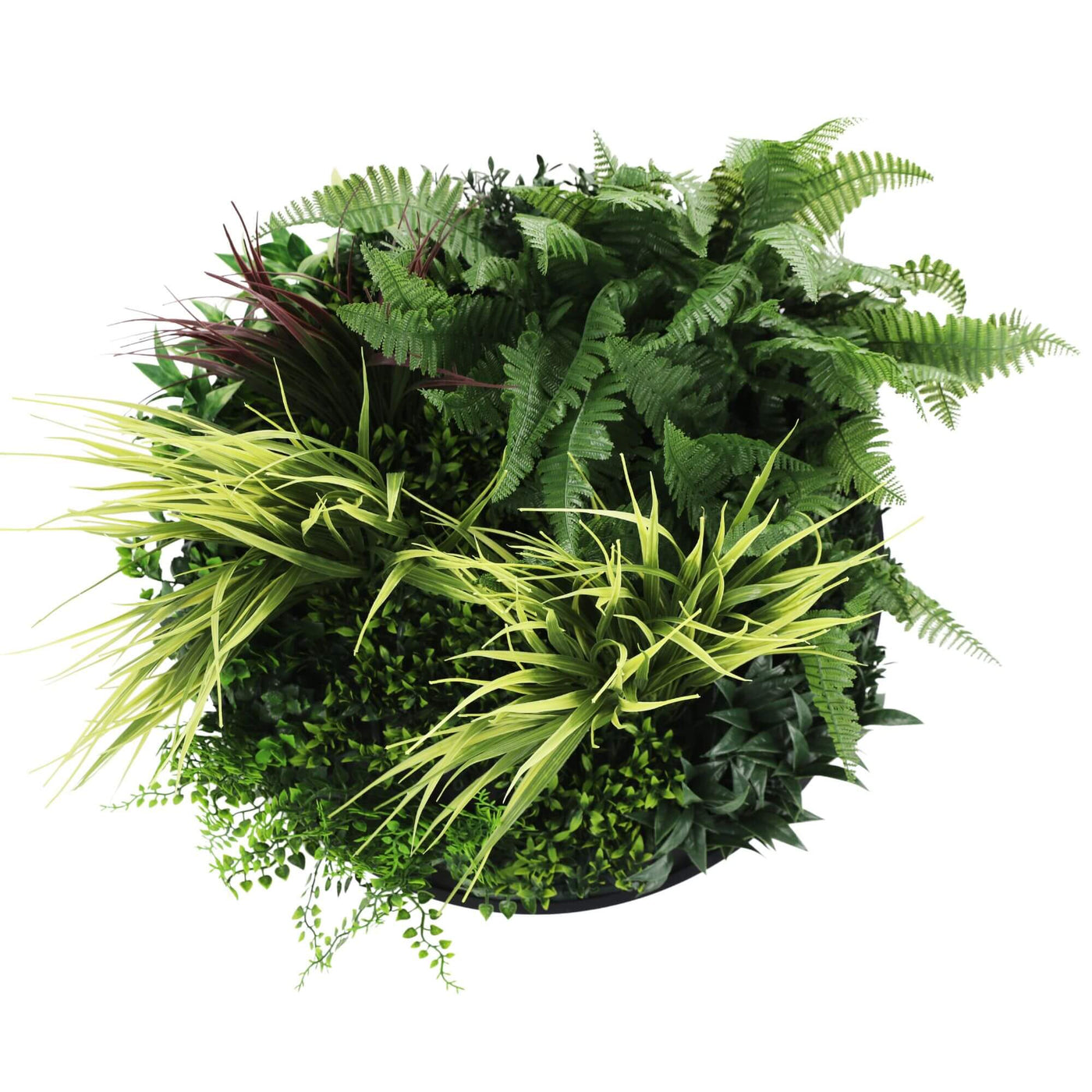 Slimline Artificial Green Wall Disc Art 50cm Grassy Fern Fields UV Resistant (Black) - Designer Plants