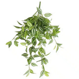 Mixed White and Green Hanging Philodendron Bush 80cm - Designer Plants