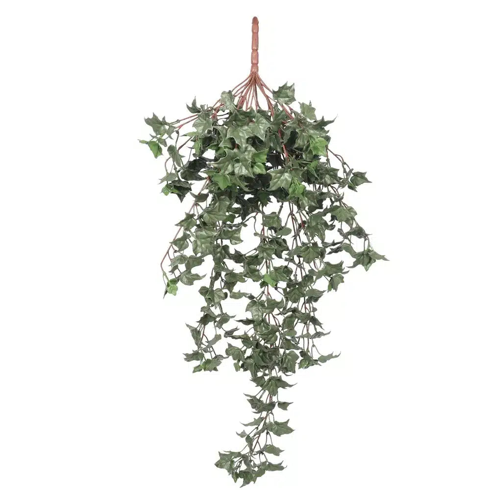 Hanging English Ivy Bush 80cm UV Resistant - Designer Plants