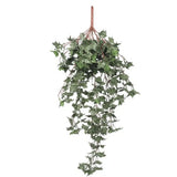 Hanging English Ivy Bush 80cm UV Resistant - Designer Plants