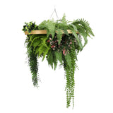 Gold Artificial Hanging Plant Disc Chandelier with Cascading Greenery & Trailing Fern Foliage — 60cm UV Resistant