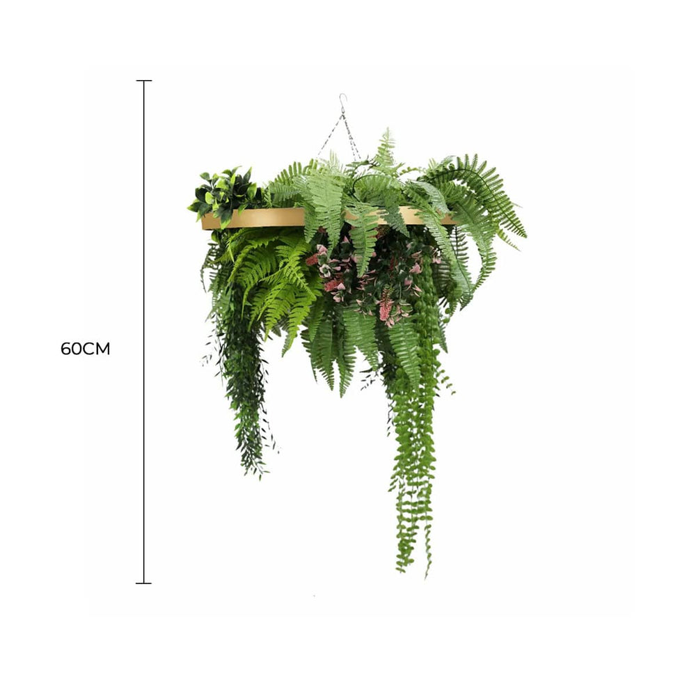 Hanging plant with dimensions indicated on a white background