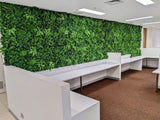 Luxury Green Tropics Vertical Garden/Green Wall UV Resistant 1m x 1m