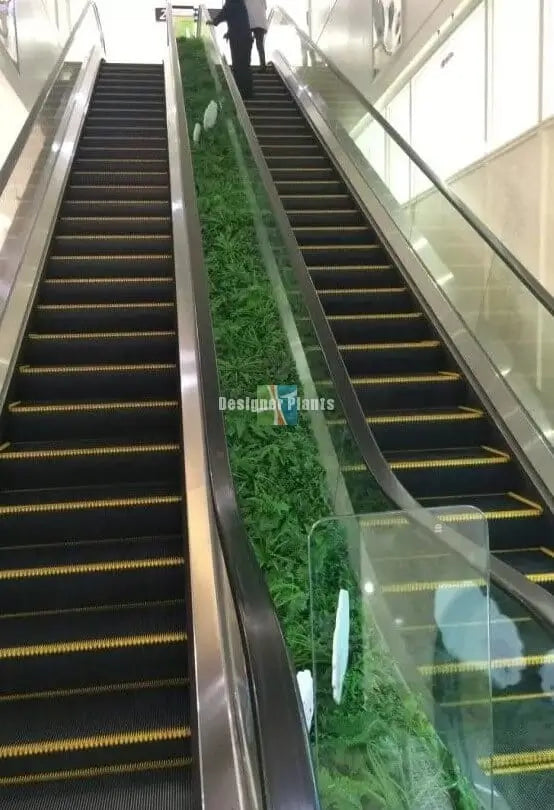 An indoor escalator with black steps and yellow safety stripes, flanked by glass railings and a central green hedge. A faint 'Designk Plants' watermark is visible across the center.