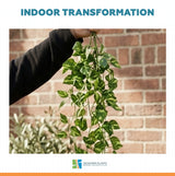 Hanging Artificial Pothos / Philodendron  Plant UV Resistant 85cm