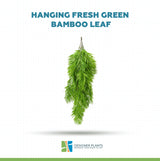 Hanging Fresh Green Bamboo Leaf Fern UV Resistant 80cm