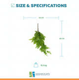 Hanging Native Green Dense Maiden Hair Fern Bush UV Resistant 80cm
