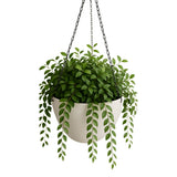 Hanging Rustic White Plastic Pot with Chain 30cm - Designer Plants