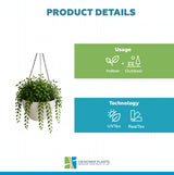 Hanging Rustic White Plastic Pot with Chain 30cm