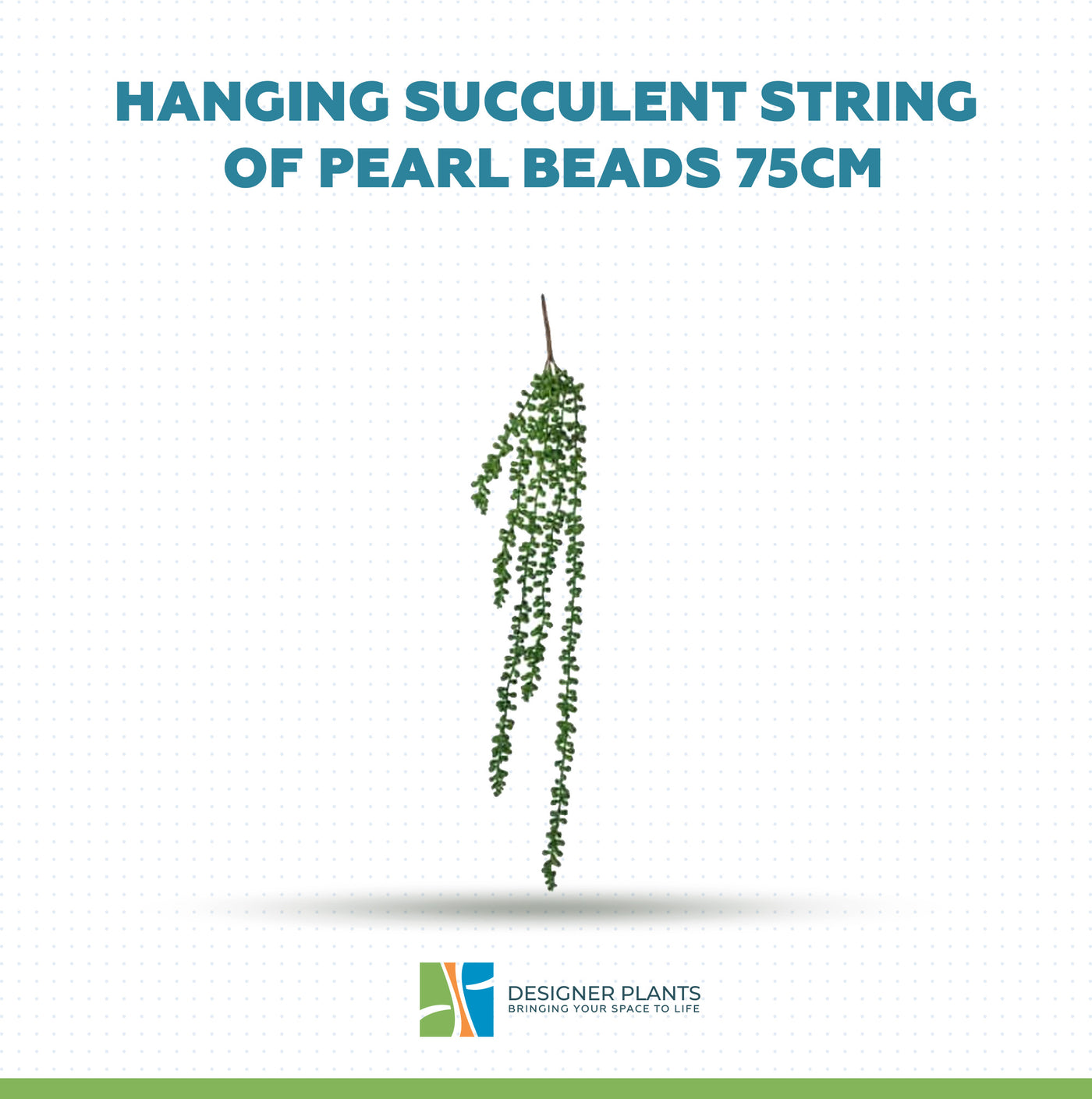 Hanging Succulent String of Pearl Beads 75cm