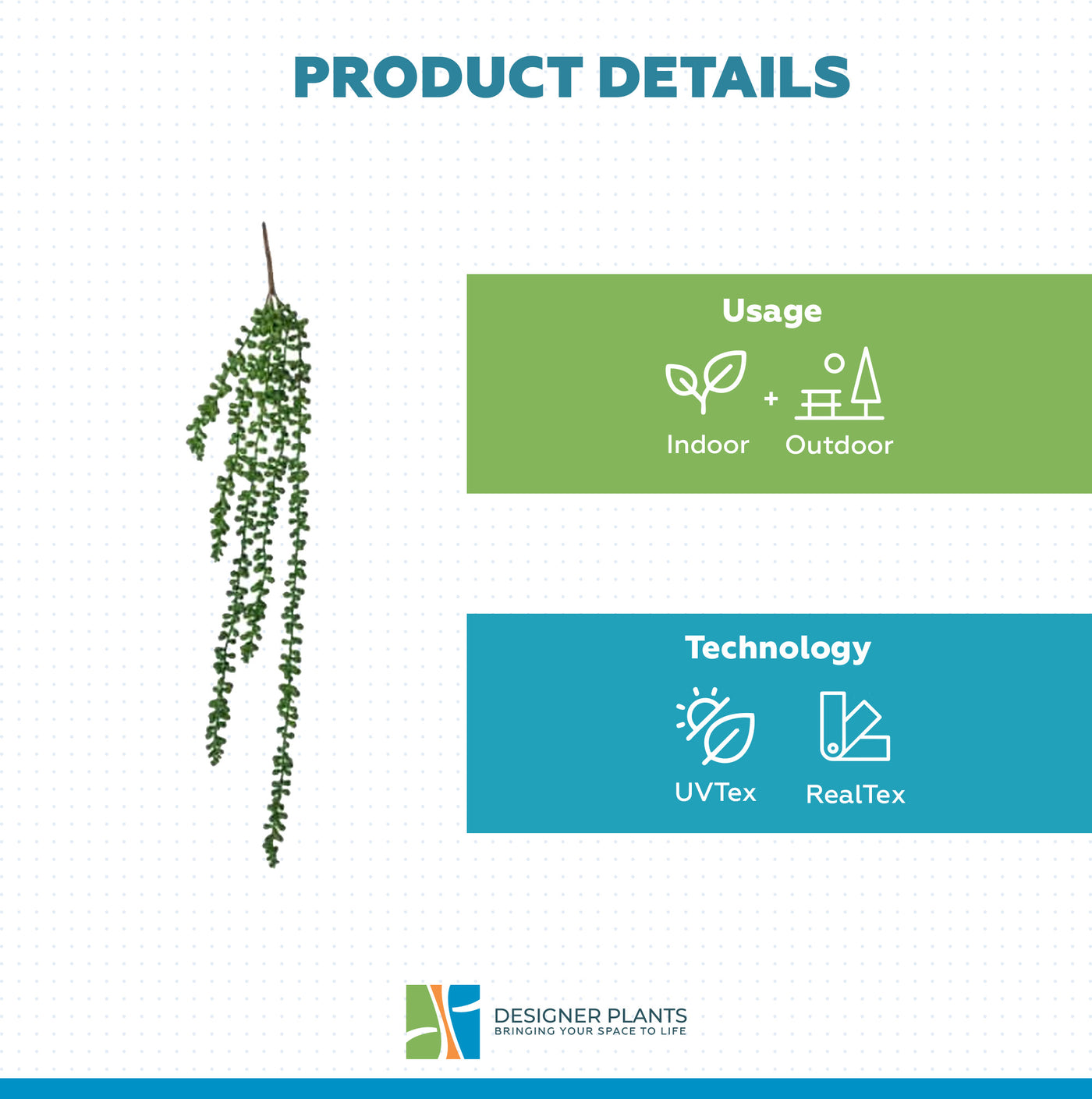 Hanging Succulent String of Pearl Beads 75cm