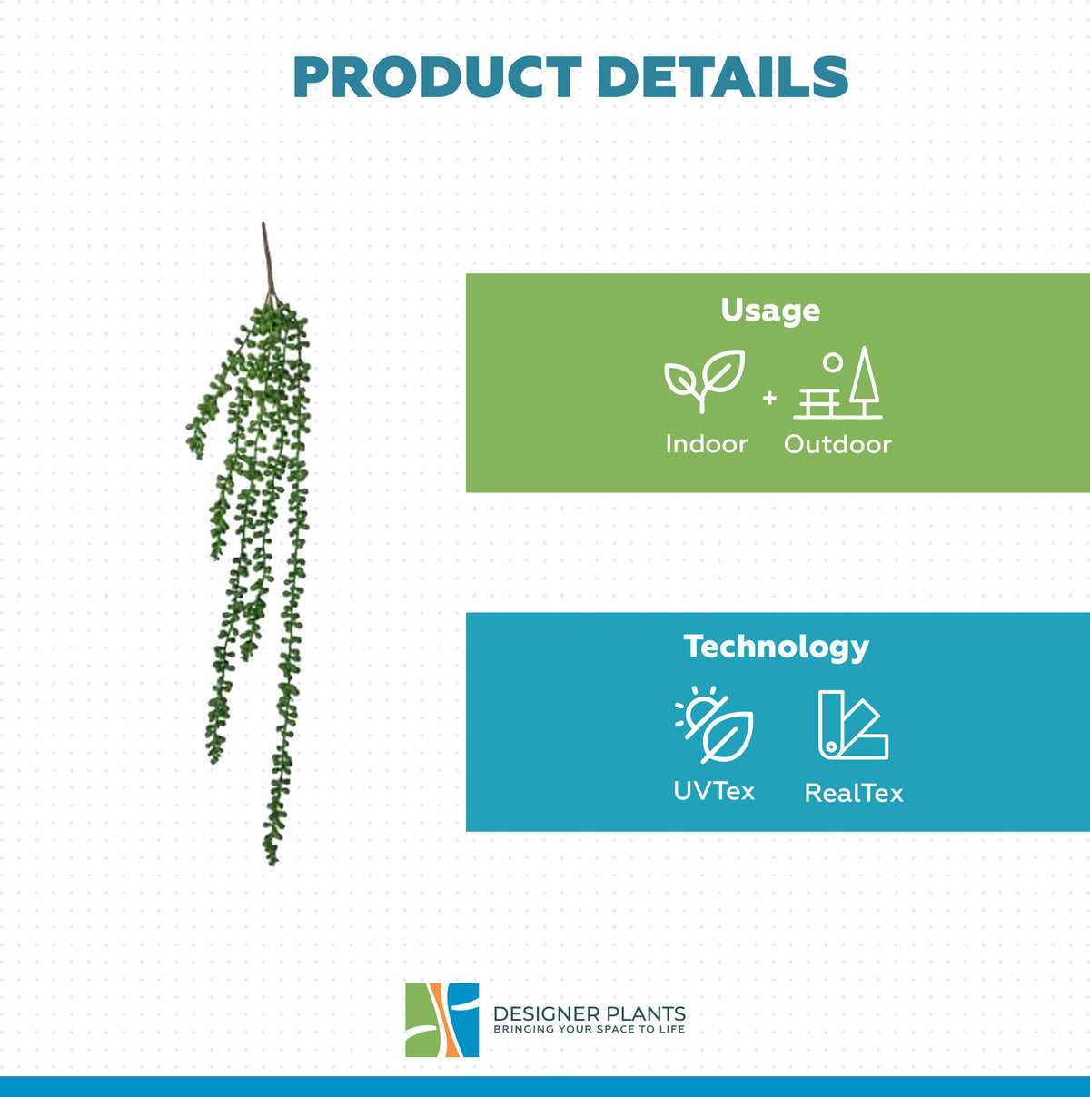 Hanging Succulent String of Pearl Beads 75cm